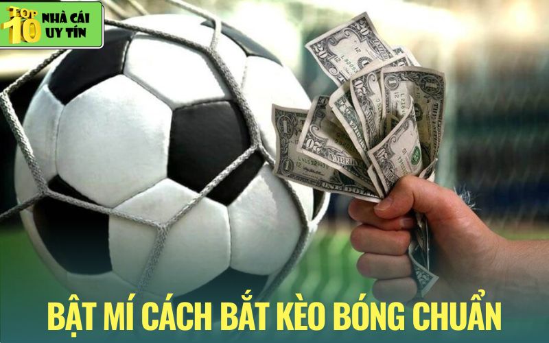 Chỉ dẫn từng bước cách bắt kèo bóng chuẩn cho tân binh