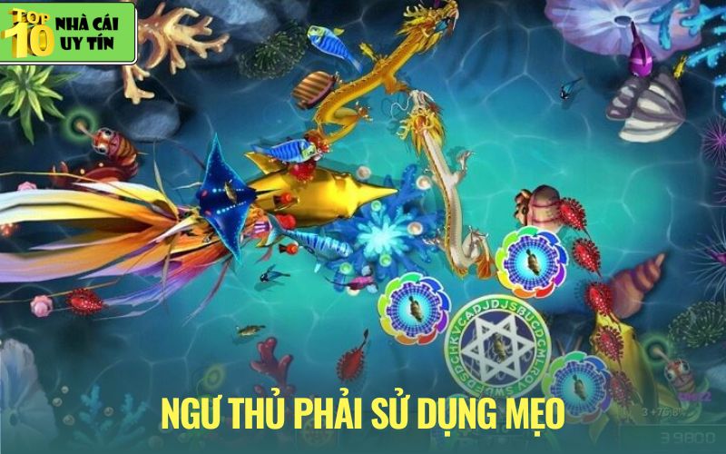Lý do nên áp dụng chiến thuật khi bắn cá trực tuyến